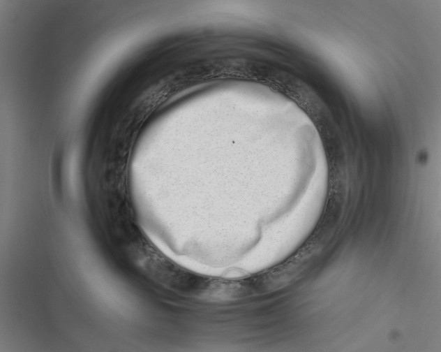 X0000116760189201001141437