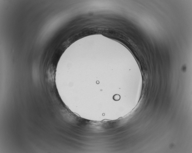 X0000116760190201001141437