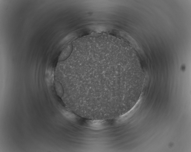 X0000116760191201001141437