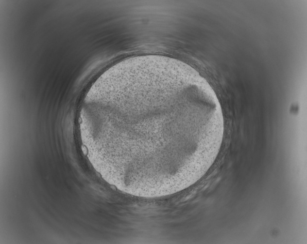 X0000116760194201001141437