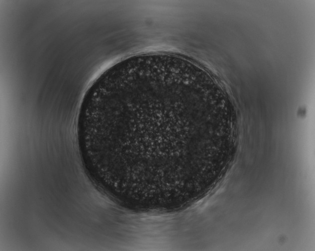 X0000116760196201001141437