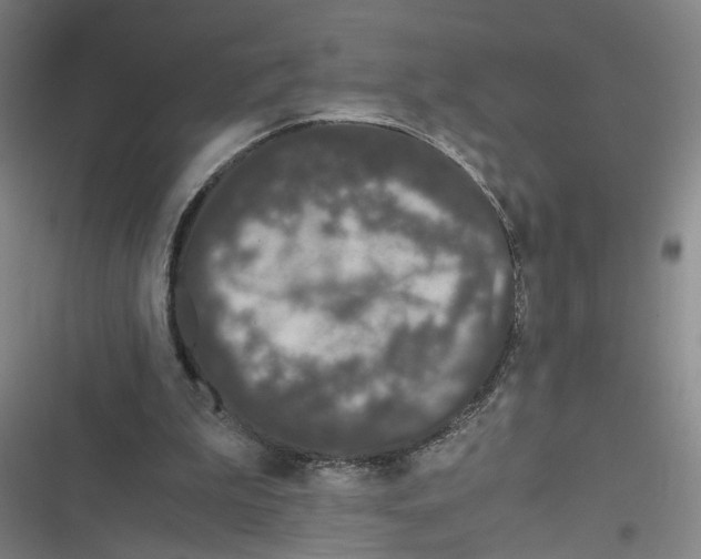 X0000116760199201001141437