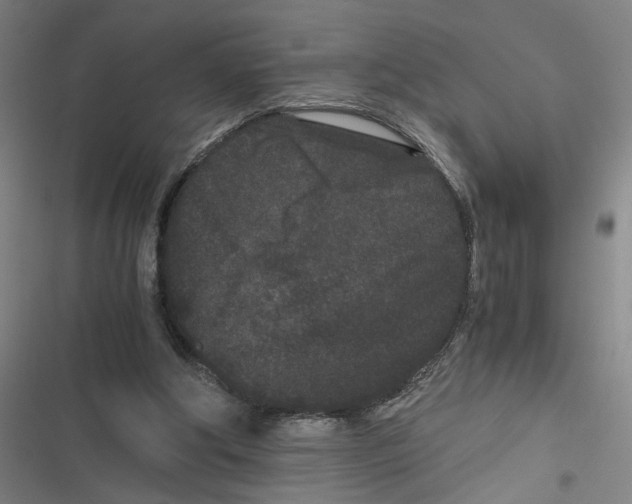 X0000116760202201001141437