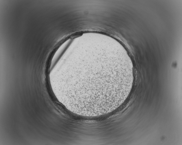 X0000116760203201001141437