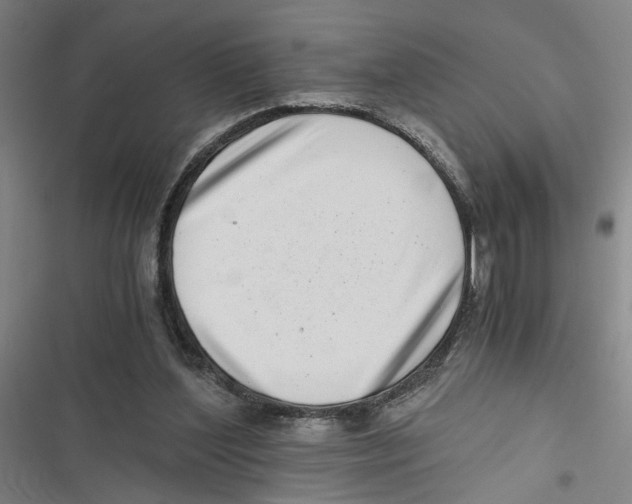 X0000116760204201001141437