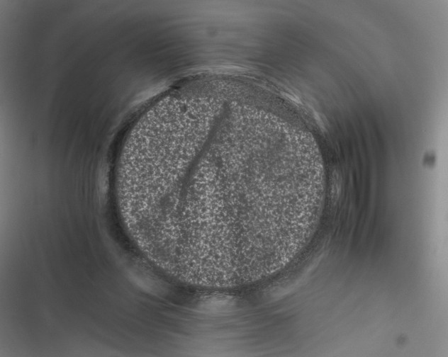 X0000116760206201001141437