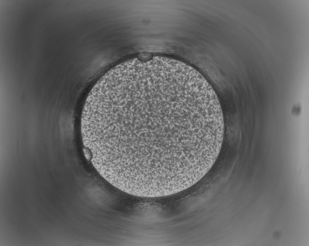 X0000116760207201001141436