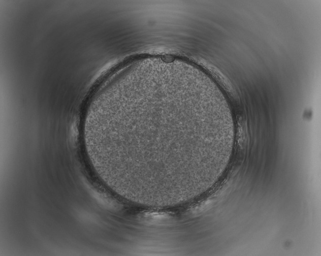 X0000116760208201001141436