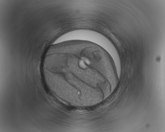 X0000116760209201001141436