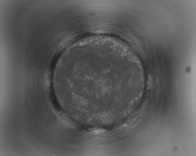 X0000116760210201001141436