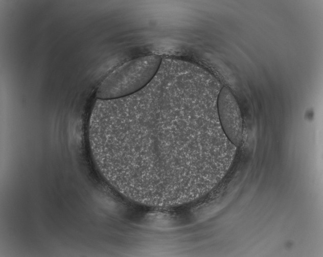 X0000116760211201001141436