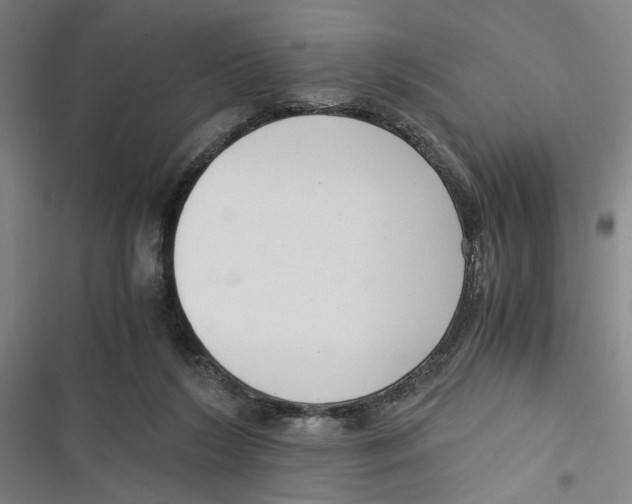 X0000116760212201001141436