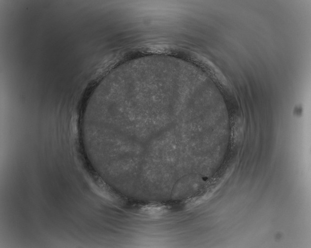 X0000116760213201001141436