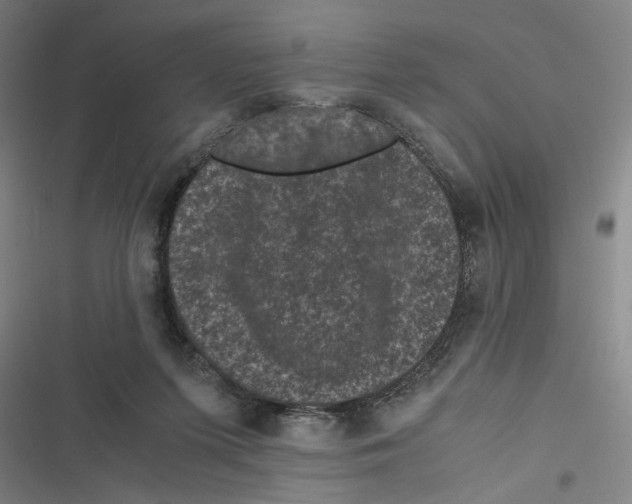 X0000116760215201001141436