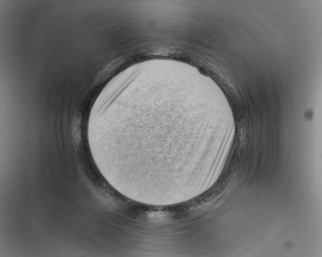 X0000116760216201001141436