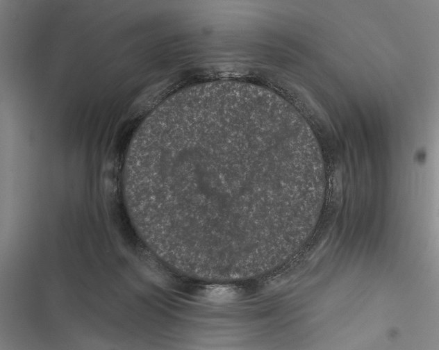 X0000116760218201001141436