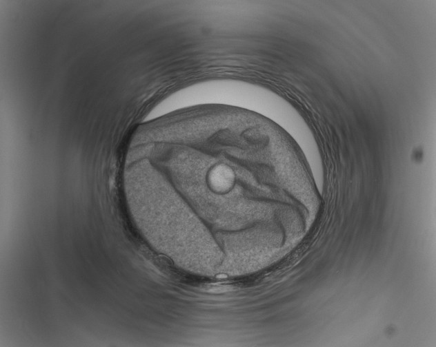 X0000116760219201001141436