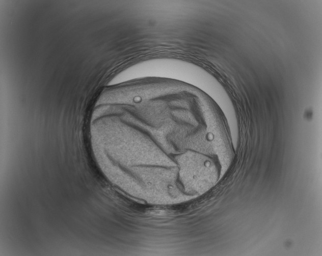 X0000116760221201001141436