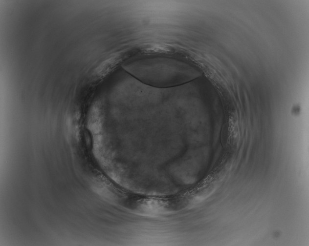 X0000116760223201001141436