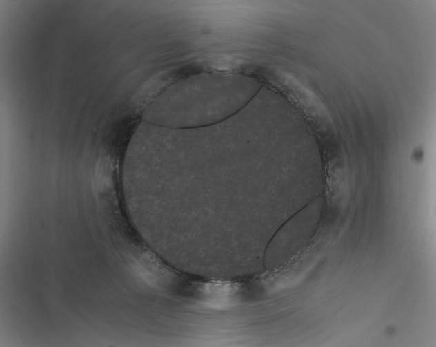 X0000116760225201001141436