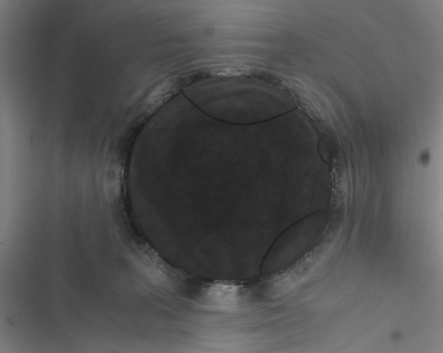 X0000116760227201001141436