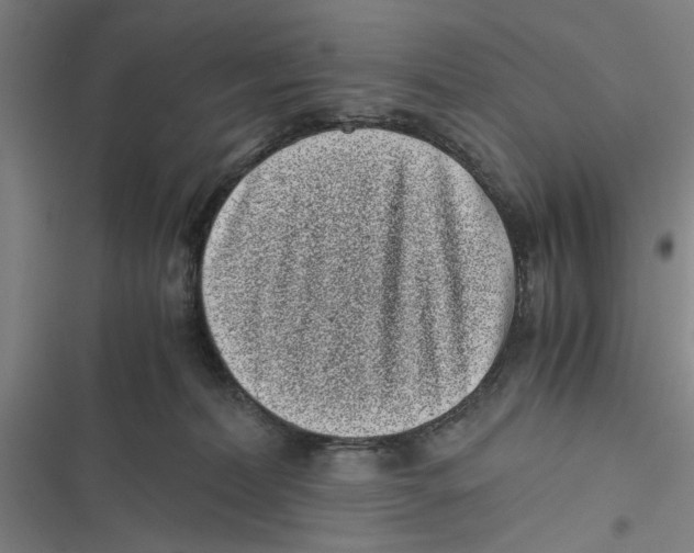 X0000116760228201001141436