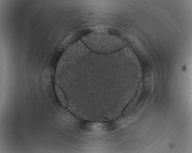 X0000116760229201001141436