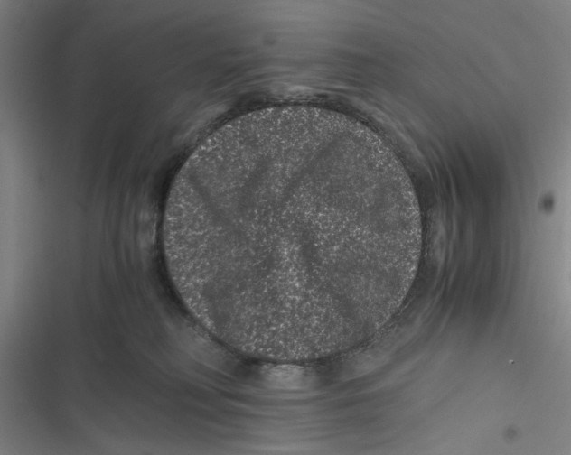 X0000116760230201001141436