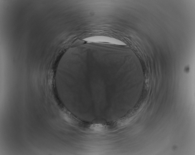 X0000116760231201001141436