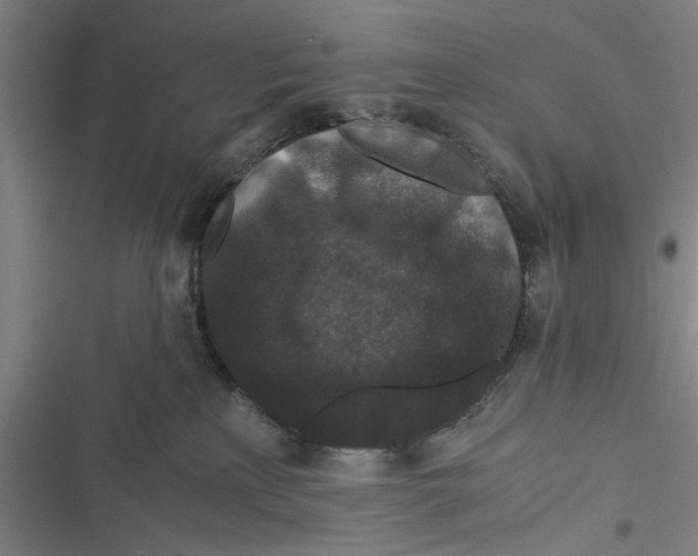 X0000116760233201001141436