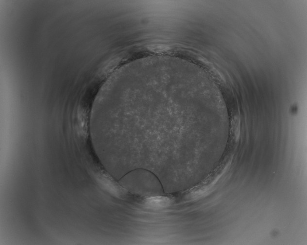 X0000116760234201001141436