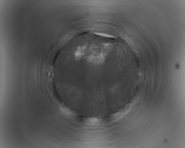 X0000116760237201001141436