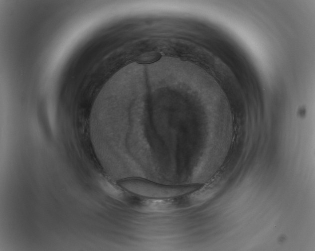 X0000116760239201001141436