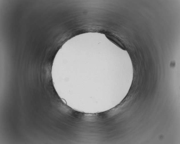 X0000116760240201001141436