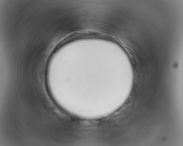 X0000116760241201001141435