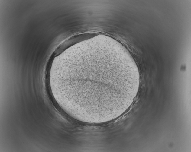 X0000116760242201001141435