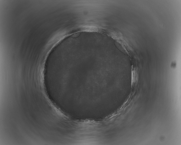 X0000116760243201001141435