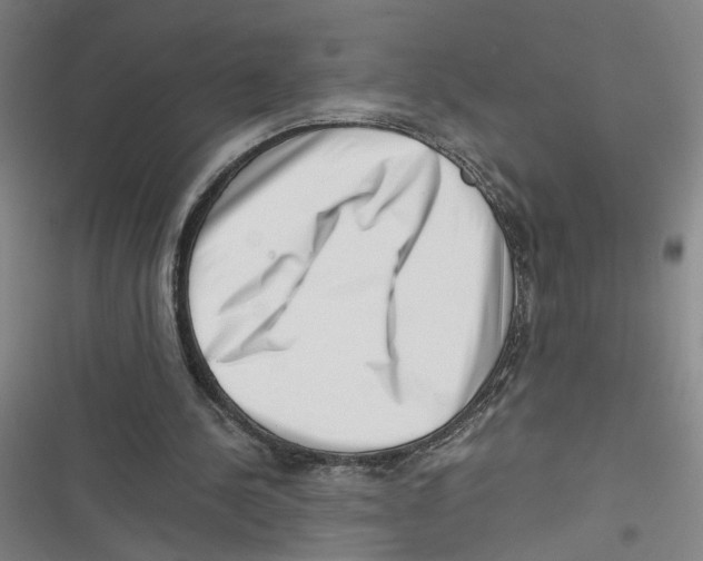 X0000116760244201001141435