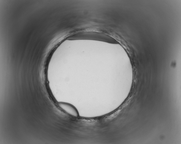 X0000116760245201001141435