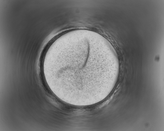 X0000116760246201001141435