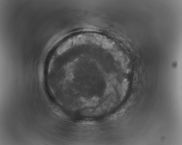 X0000116760247201001141435