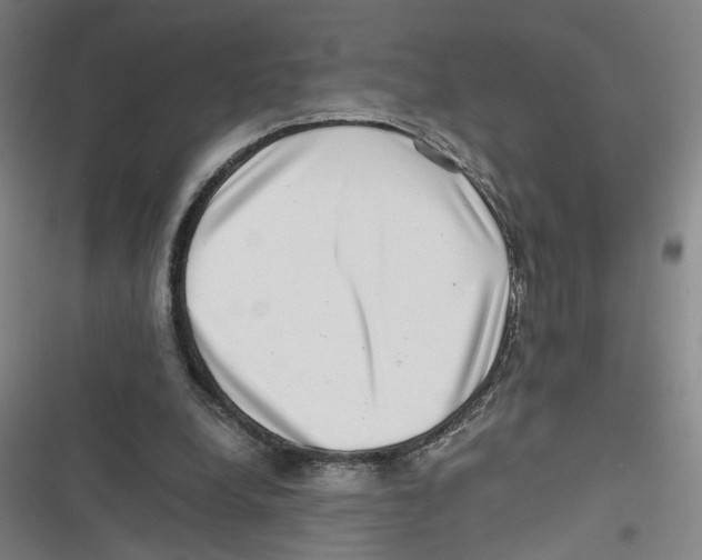 X0000116760248201001141435