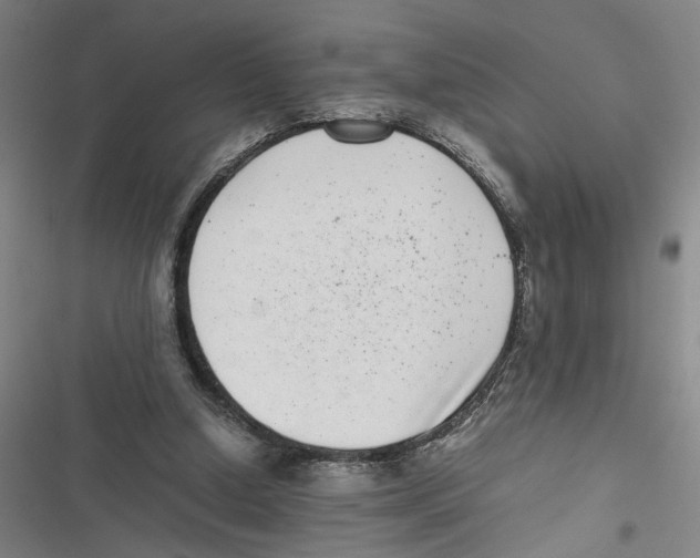 X0000116760250201001141436