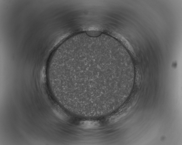 X0000116760251201001141436