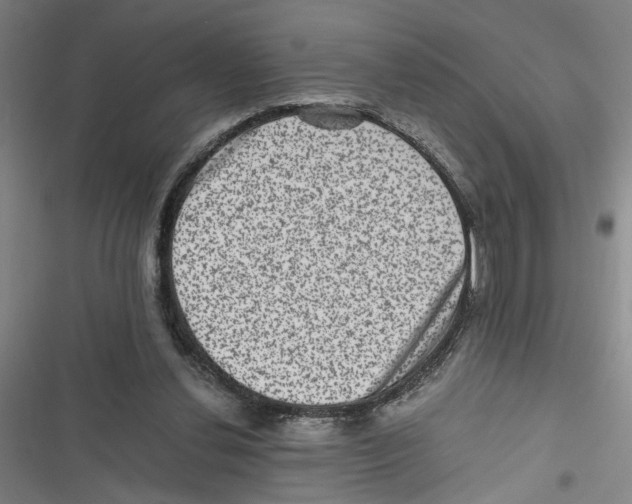 X0000116760252201001141436