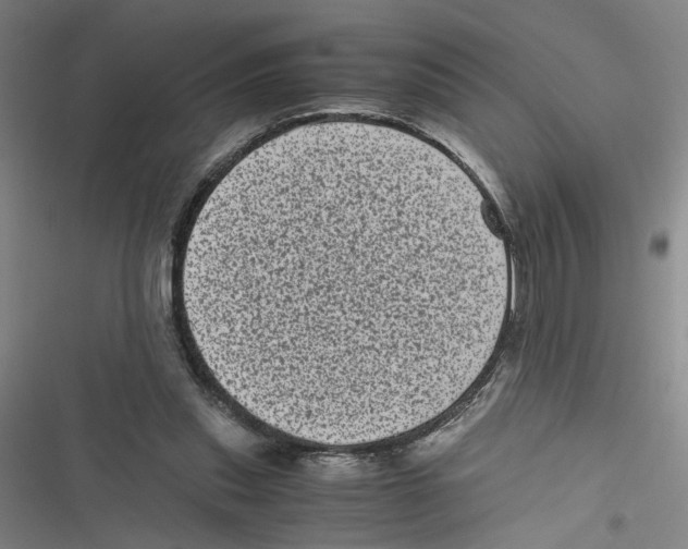 X0000116760253201001141436