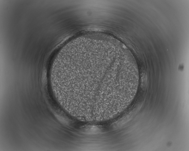 X0000116760254201001141436