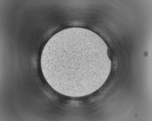 X0000116760255201001141436