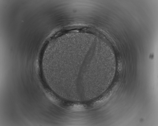 X0000116760256201001141436