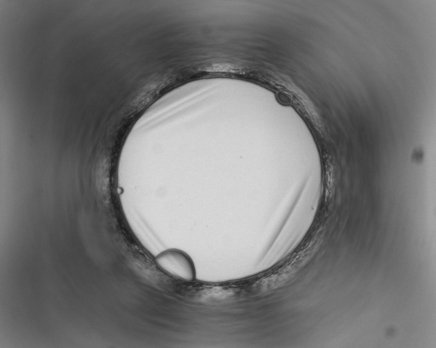 X0000116760257201001141436